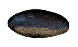 Hawk Hill 335AP: 1-1/2" Oval Cabinet Knob - Polished Pewter