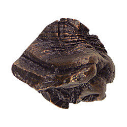 Hawk Hill 368VG: 1-1/2" Roots Cabinet Knob - Verde