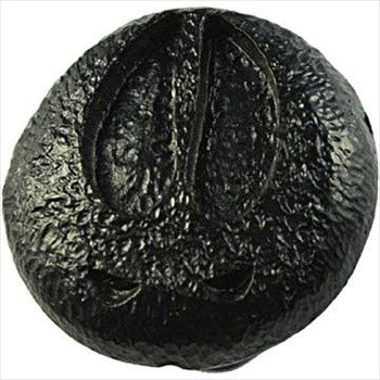 Sierra Lifestyles 681393: Big Game Track Cabinet Knob - Black