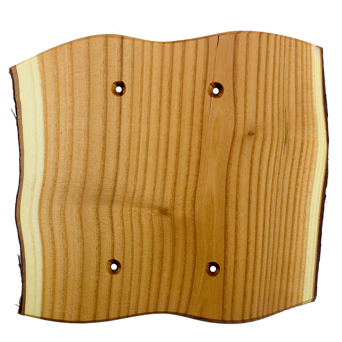 Sierra Lifestyles 682767: Rustic Double Blank Switchplate - Russian Olive