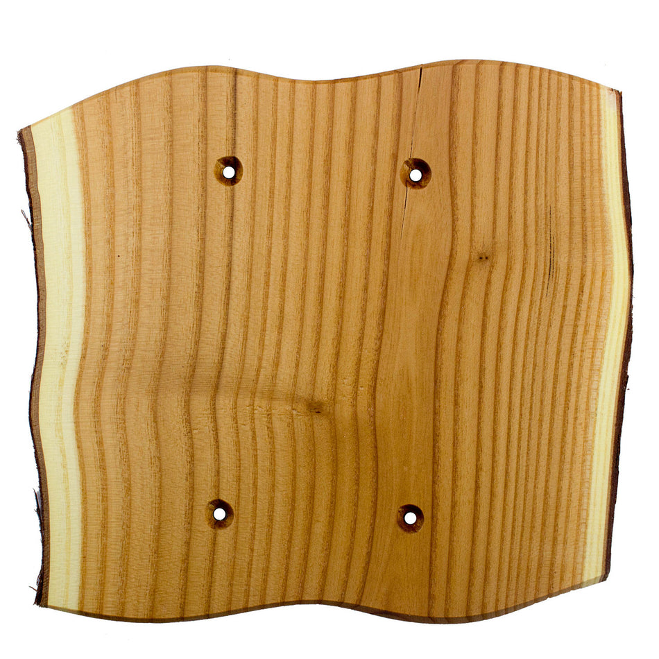 Sierra Lifestyles 682767: Rustic Double Blank Switchplate - Russian Olive