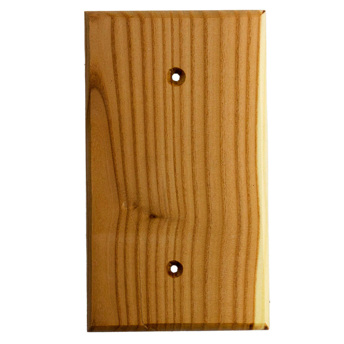 Sierra Lifestyles 682789: Traditional Single Blank Switchplate - Russian Olive