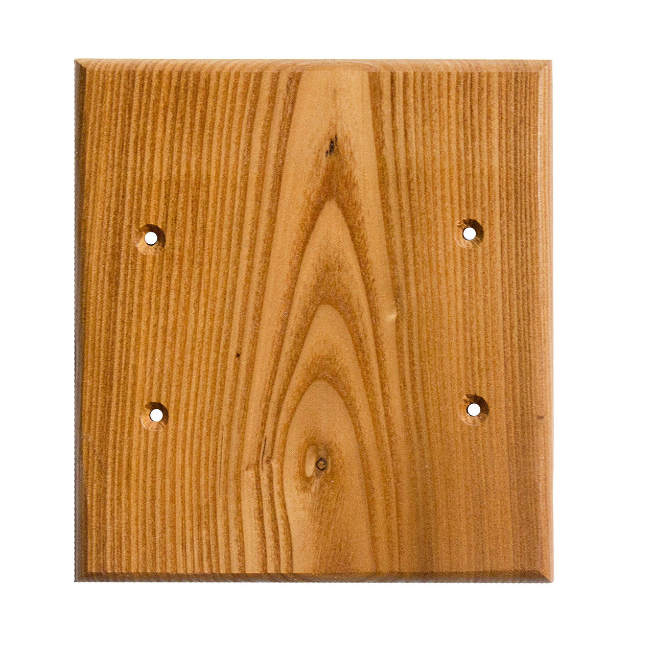 Sierra Lifestyles 682797: Traditional Double Blank Switchplate - Russian Olive
