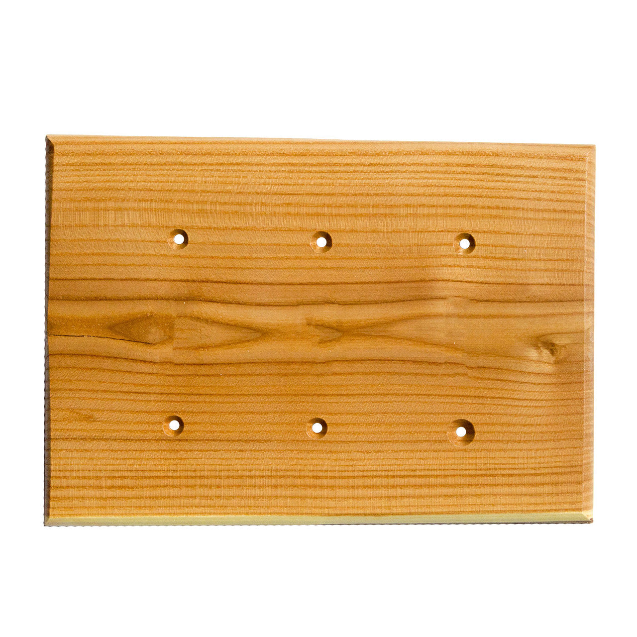 Sierra Lifestyles 682805: Traditional Triple Blank Switchplate - Russian Olive