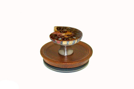 Gemstone AMMO-L-15: Acacia Wooden Lid with Ammonite Handle