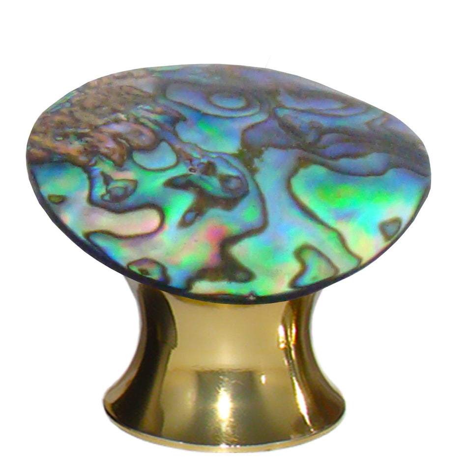 Myterra CABA.03: Abalone Shell Cabinet Knob - Polished Brass