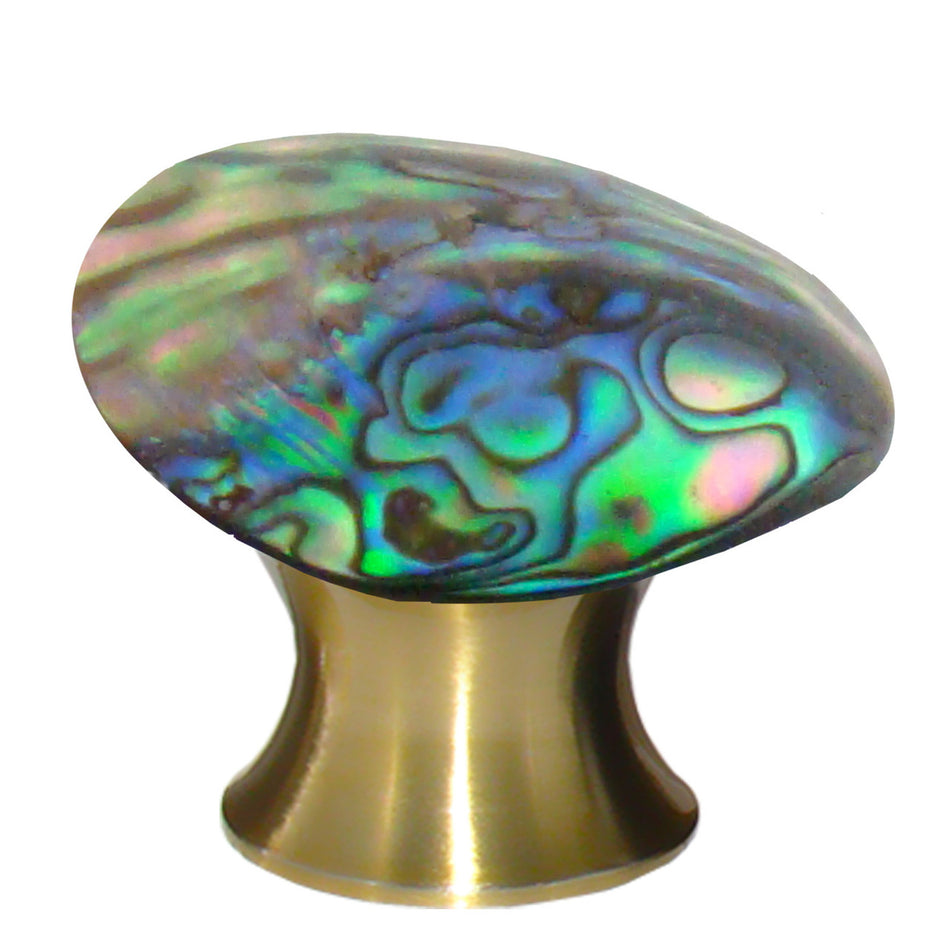 Myterra CABA.04: Abalone Shell Cabinet Knob - Satin Brass