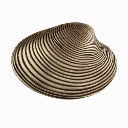 Acorn DP3AP: 1-3/8" Clam Shell Cabinet Knob - Antique Brass