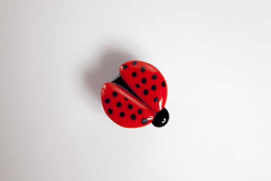 Grace White LB: Ladybugs Cabinet Knob - Multicolor