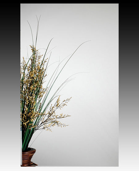 Alno MC21244-SS: 15" x 25" 2000 Series Cabinet w/Polished Mirror - Stainless Steel