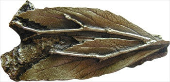 Notting Hill NHK-172-AB: Leafy Twig Cabinet Knob - Antique Brass