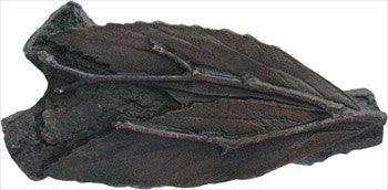 Notting Hill NHK-172-DB: Leafy Twig Cabinet Knob - Dark Brass