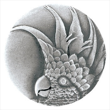Notting Hill NHK-324-AP-R: Cockatoo (Small Right Side) Cabinet Knob - Antique Pewter