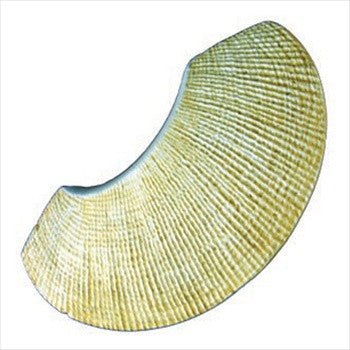 Anne At Home 7015: 3" cc Shells Cabinet Pull